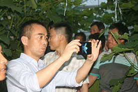草莓视频污污下载镇党建联盟葡萄网格化管理在巡查中发现葡萄大量落果