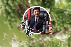草莓视频污污下载葡萄酒总经理毕晓雪接受《文汇报》专访，畅谈“一带一路”建设经验